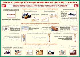 Таблица Общий порядок оказания первой помощи пострадавшим  700х1000 Винил